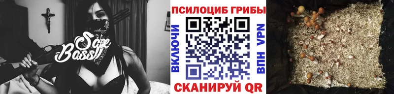 Галлюциногенные грибы Psilocybine cubensis  Нерюнгри 